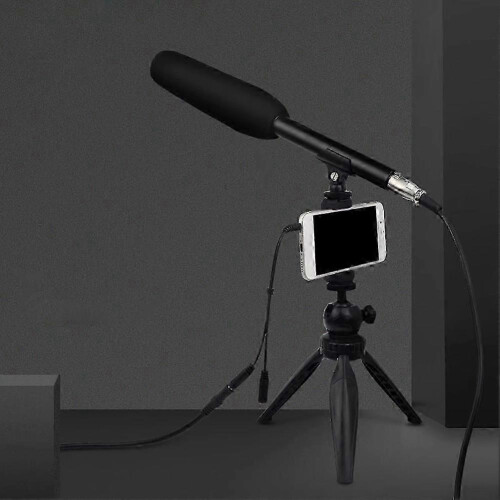 Microfono a condensatore XLR, microfono cardioide professionale, mini microfono a condensatore, microfono per interviste a giornalisti televisivi. 2