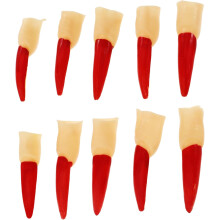 Dedo bruxa reutilizável Halloween prop vermelho longo falso prego, dedo falso decorativo multifunção para Cosplay da festa do festival