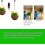 Set van 4 uitschuifbare plantenhaken met katrollen 3