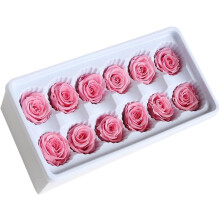 12 Stück/Box konservierte Rosenköpfe, 3-4 cm, dekorativer, romantischer Stil
