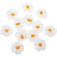 12 künstliche Hibiskusblüten aus weißem EVA-Material für Hawaii-Partys und Geburtstagsfeiern