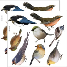 2 Bögen Vogel-Fensteraufkleber, selbstklebend, stoßfest, aus PVC-Material, hübsches Vogelmotiv