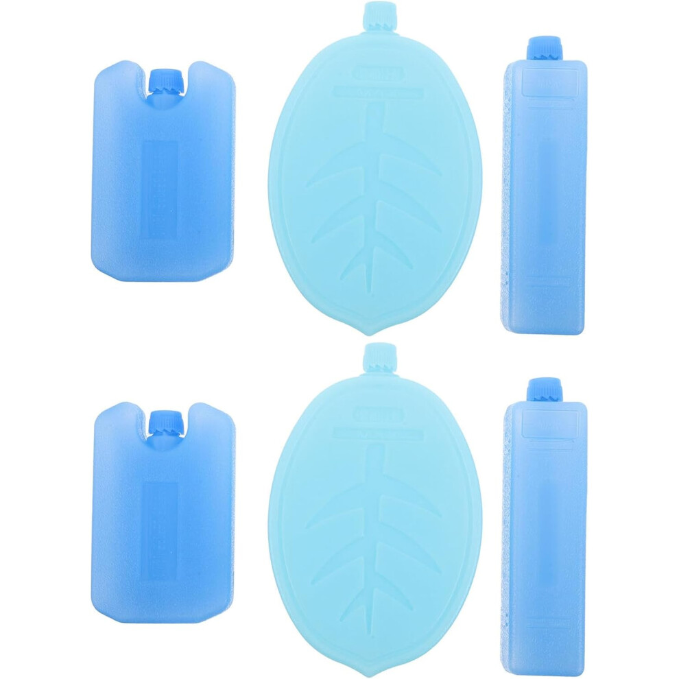 Hkhbjs 6Pcs Reusable Cold Chain Ice Boxes For Shipping Perishables Ice Cooler Bag