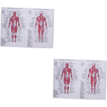 2-teiliges Anatomie-Poster mit Muskeldiagramm auf Leinwand, Wanddekoration für Zuhause, Schule, Krankenhaus, Esszimmer, Arbeitszimmer