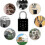 Bluetooth Smart Padlock Waterproof APP Controlled for Gate Fence Door 3