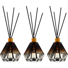 Lot de 3 flacons purificateurs d'air, désodorisant pour la maison et les toilettes, diffuseur de parfum en verre à bâtonnets.