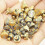 20 Pack Brass Misting Nozzles 0.3mm Orifice, Cooling System Atomizers for Outdoor Use 3