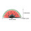 2Pcs Watermelon Handheld Folding Fan Japanese Style Large Performance Dancing Fan 2