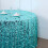 BalsaCircle 120" Rund Paljettduk 5