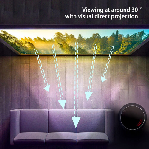 80 inch 16:9 Wasbaar Draagbaar Projectiescherm 2