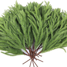 Craobhacha Péine Norfolk 50cm Pacáiste 2