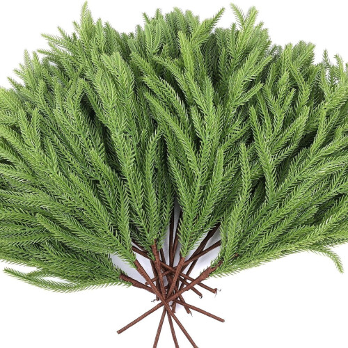 Norfolk dennentakken 50 cm 2-pack