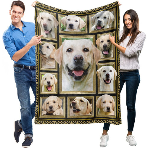 Manta Labrador Retriever 40x50 polegadas