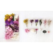 Kit de loisirs créatifs avec fleurs séchées naturelles – Fleurs naturelles assorties