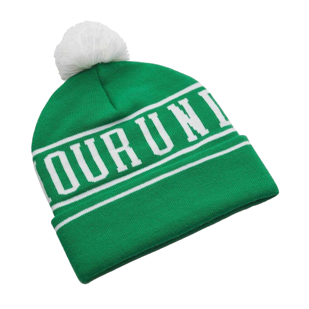 Under Armour (One Size, Kelly ) Mens Halftime Beanie Green