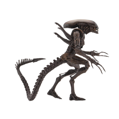 NECA NECA Aliens - 18 cm Actionfigur - Serie 14 - Alien Resurrection Warrior