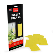 Insect Trap XL Pack of 7 Insecticide Free Sticky Traps with Hanging Loop for Flying Insects on Houseplants and Indoor Gardens