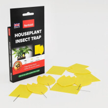 Houseplant Insect Trap Insecticide Free Indoor Plant Pest Trap for Pots Planters and Houseplant Care
