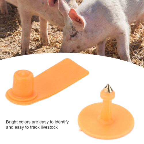 Kit di etichette auricolari per maiali, 100 set, plastica, 5x2 cm 2