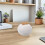 1White Dual-Compartment Ceramic Urn for Pet Ashes and Fur 3