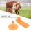 Kit di etichette auricolari per maiali, 100 set, plastica, 5x2 cm 13