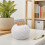 1White Dual-Compartment Ceramic Urn for Pet Ashes and Fur 8