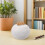 1White Dual-Compartment Ceramic Urn for Pet Ashes and Fur 9