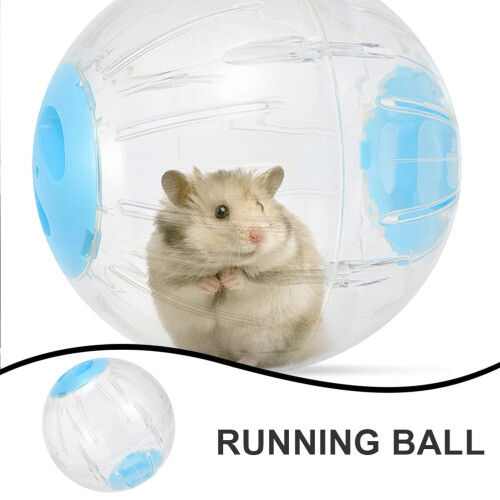 Set van 2 lichtblauwe PC-hamsterballen 2