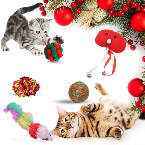 Interactive Cat Toy Pack with Balls and Mice 5 Pieces 2