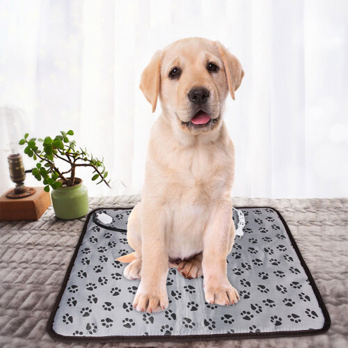Coussin chauffant pour chiens et chats – Usage extérieur, 2 températures 1