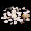 Coquillages mélangés pour aquarium, 100 g 4