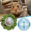 Clear Hamster Exercise Ball for Small Pets 3