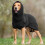 Pull en cachemire pour chien de grande taille – Noir, 3XL 4