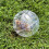 Clear Hamster Exercise Ball for Small Pets 5