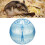 Clear Hamster Exercise Ball for Small Pets 6