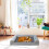 Dog Bed Large Orthopedic Memory Foam with Removable 7