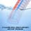 Flexibele Spiralslang PVC Met Zuigslang 3