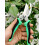 Cisaille à branches en acier inoxydable, 1 pièce, multicolore 1