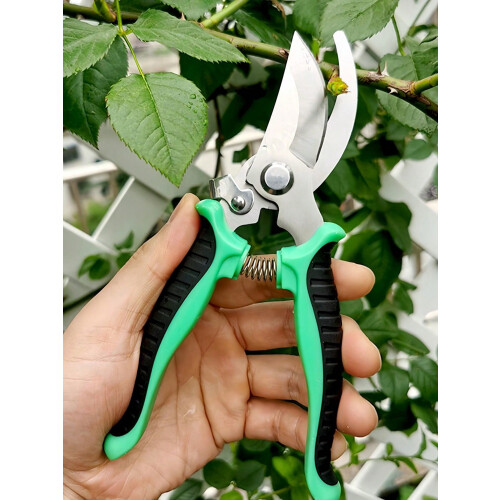 Cisaille à branches en acier inoxydable, 1 pièce, multicolore