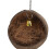 Couchage En Coque De Noix De Naturel Pour 4