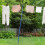 2.4M Telescopic Washing Line Prop | Blue Extendable Pole 3