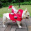 Hund Julkostym Tomtedesign S-XXL 3