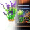 Plante d'algue artificielle pour aquariums 2
