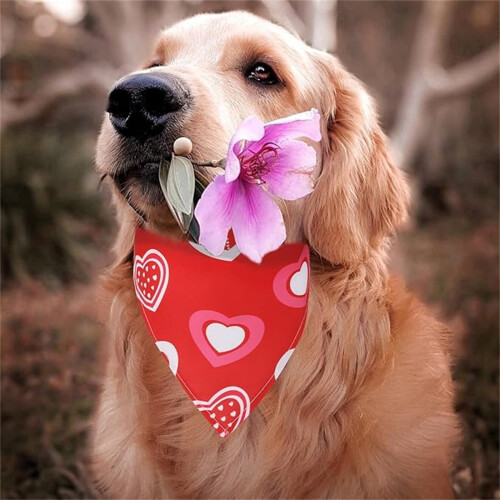Pañuelo para perro de San Valentín – Bufanda triangular con estampado de corazones, 2
