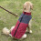 Dog Coat Waterproof Reflective Winter Warm Small Medium 6