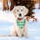 St. Patricks dag hundebandana – polyester trekantskjerf 4