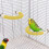 Rope Bird Perch Durable for Small Birds 1 pc 5