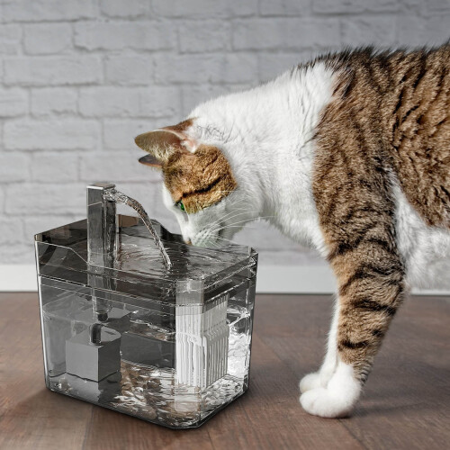 Kattenwaterfontein met filter, stil en met grote capaciteit. 2