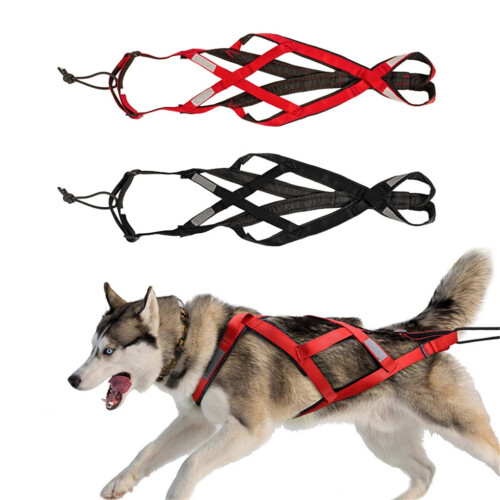 Justerbar nylon hundesele til store racer 1