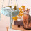 Cat Hammock Handwoven Swing with Hanging Kit 4